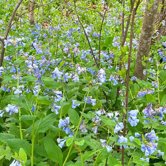 Meet your Posher, Colby - Picture 2 of 2